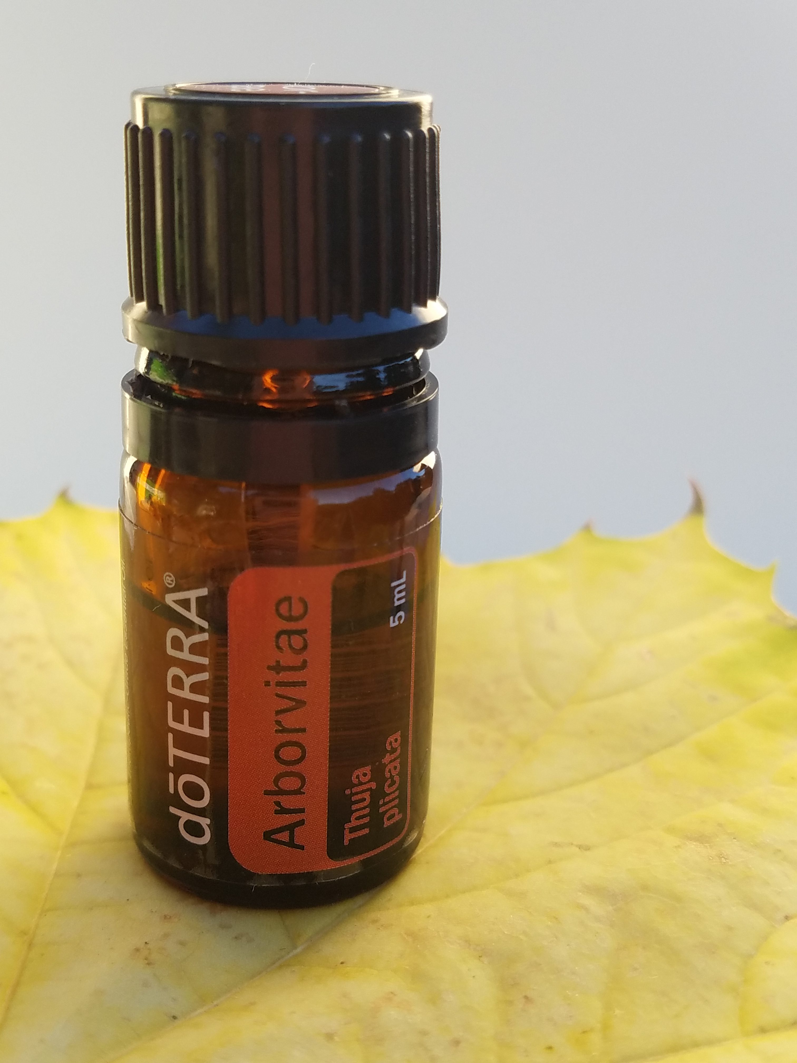 doTERRA Arborvitae Essential Oil